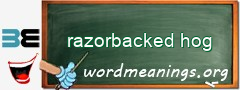 WordMeaning blackboard for razorbacked hog